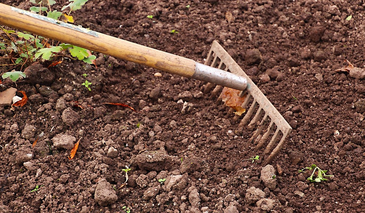 Preparing Borders for Spring Bulbs