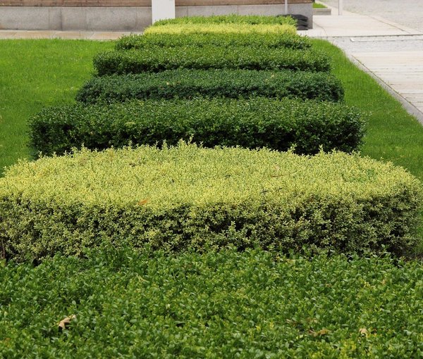 Glen Garden